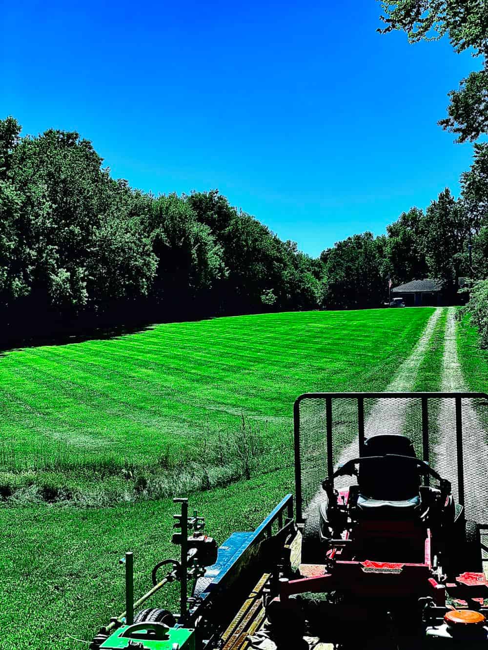 Lawn Maintenance image