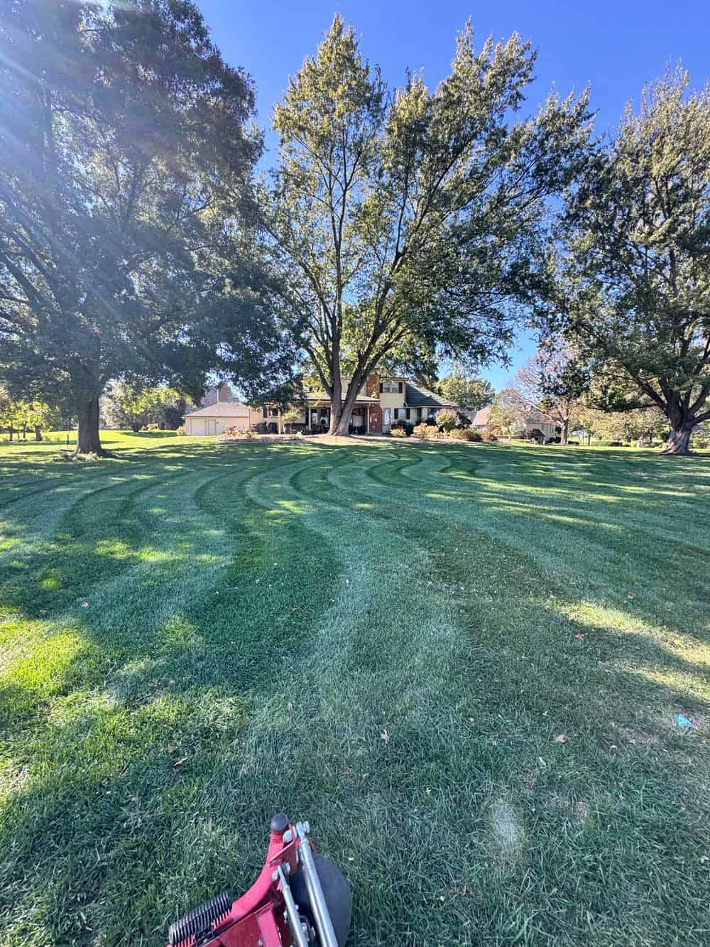 Lawn Maintenance image